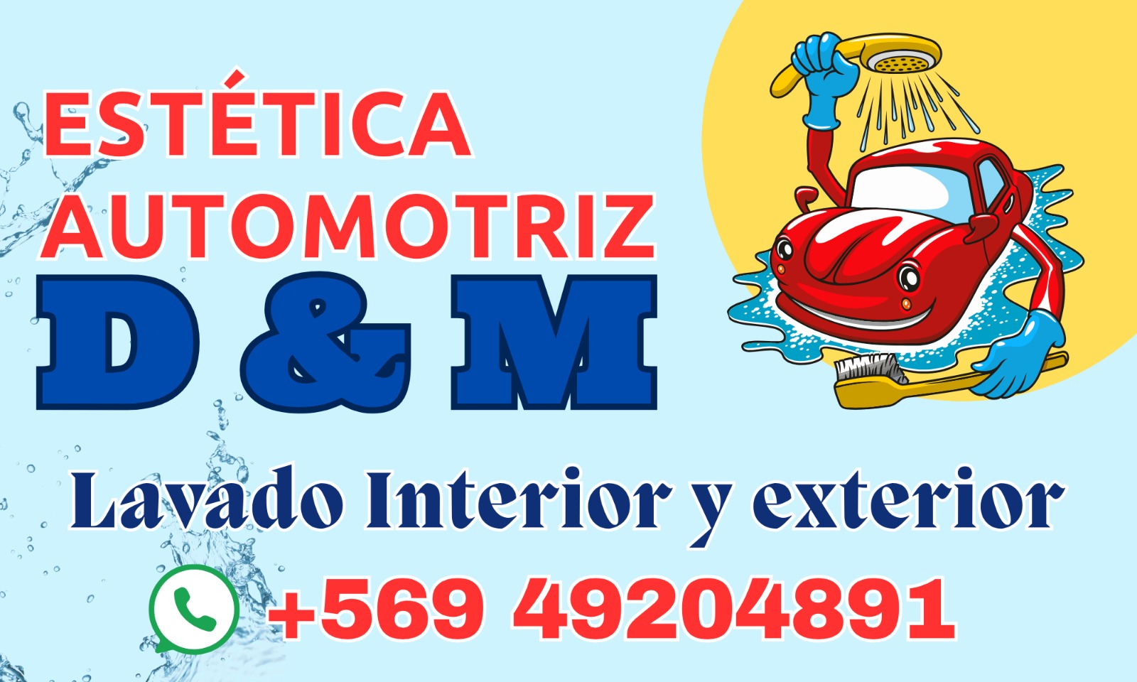 Estética Automotriz